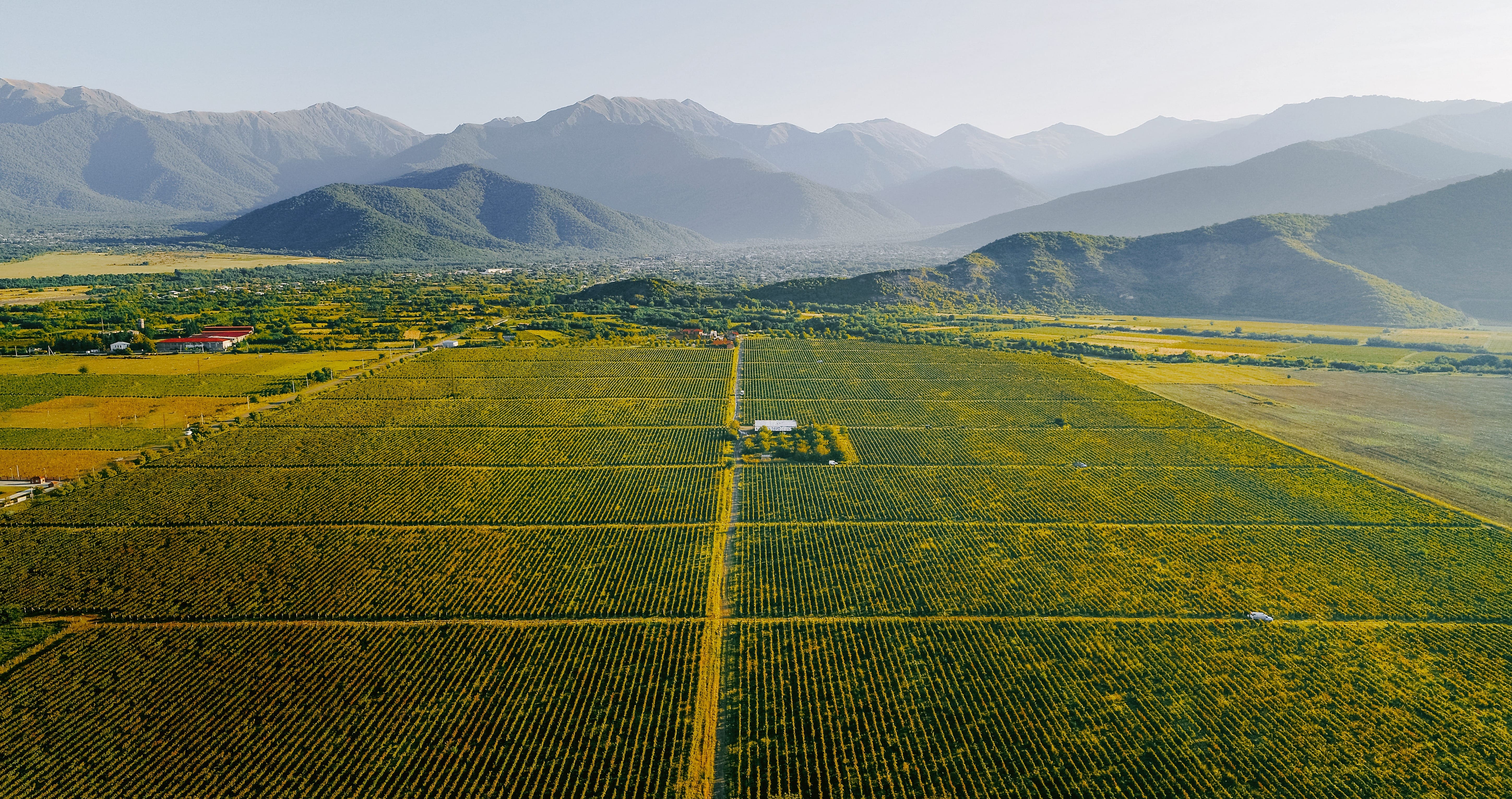 Chelti vineyard terroir landscape