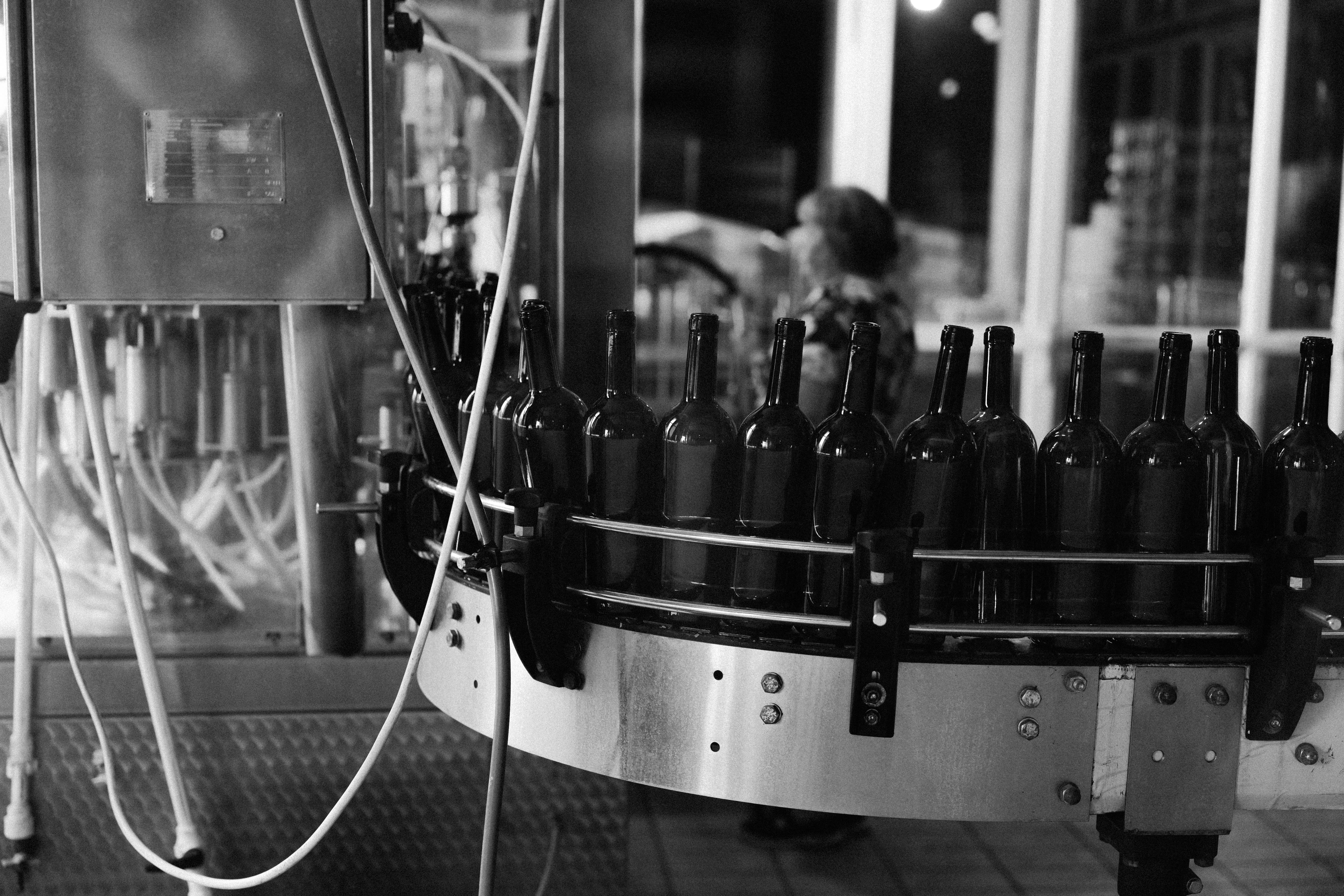 Underground wine cellar
