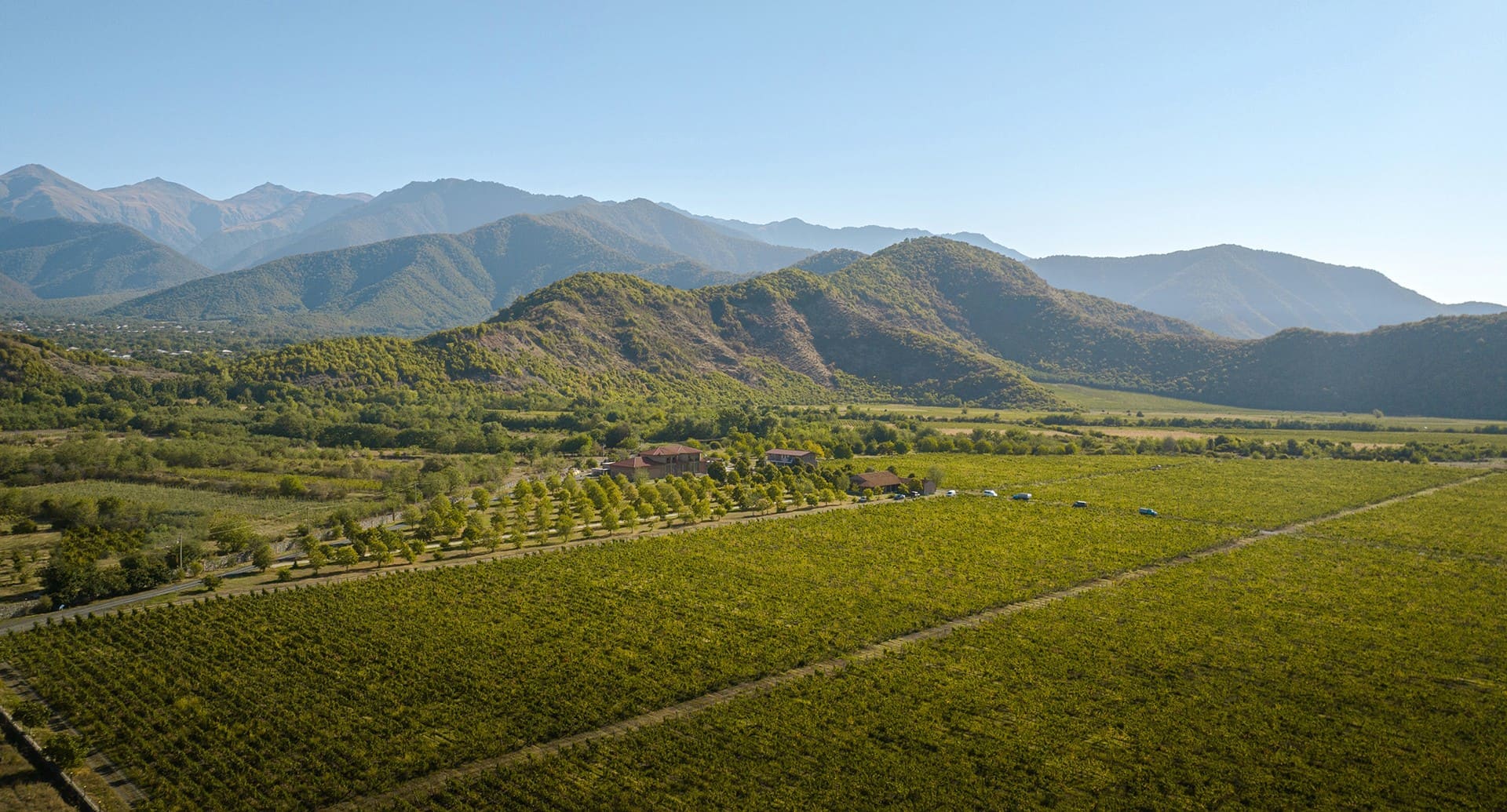 Chelti vineyard terroir landscape