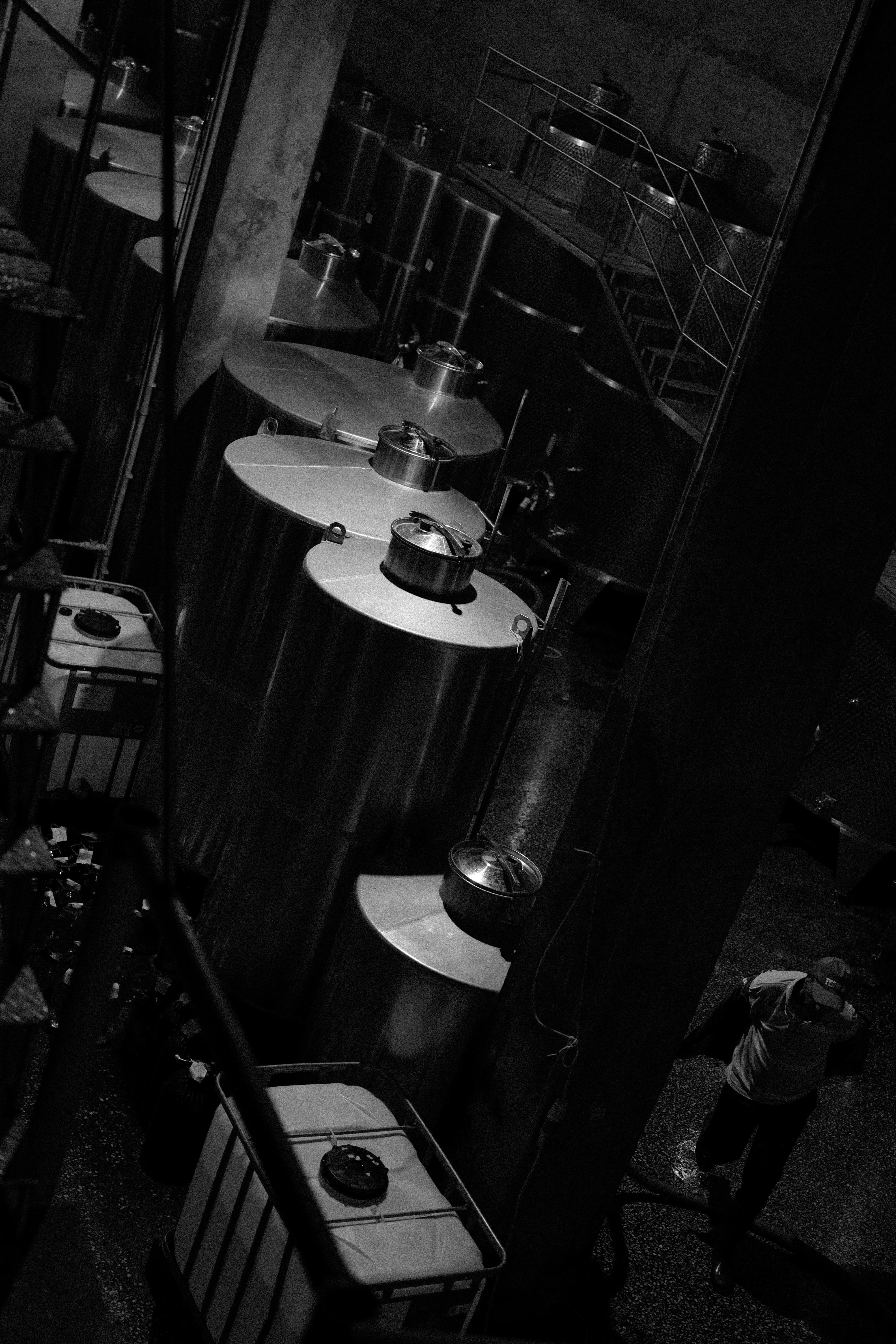 Wine aging in barrels